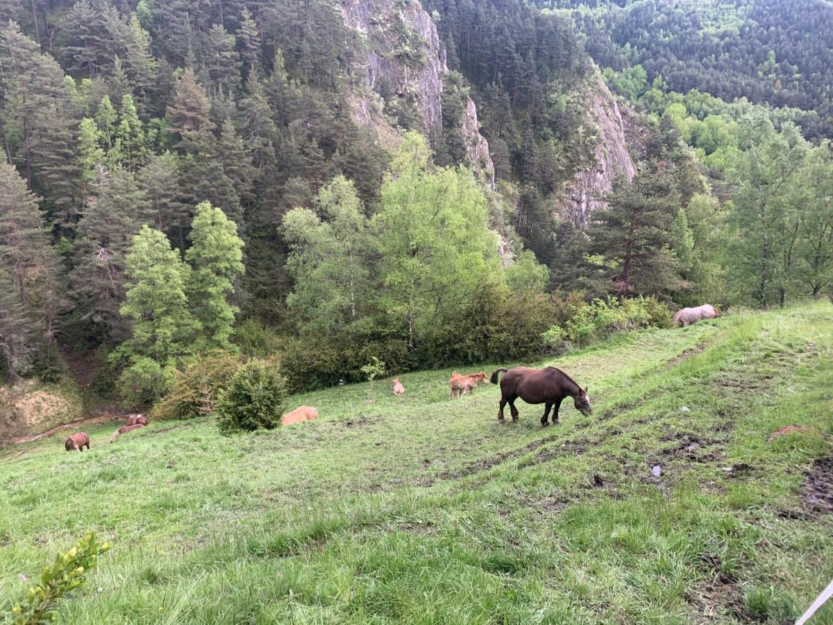 Appartamento Siscaro - Peu Del Riu 310 - Vall D'Incles - Soldeu Esterno foto