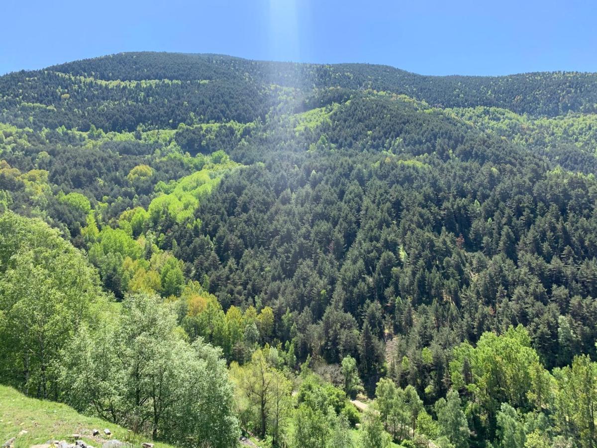 Appartamento Siscaro - Peu Del Riu 310 - Vall D'Incles - Soldeu Esterno foto
