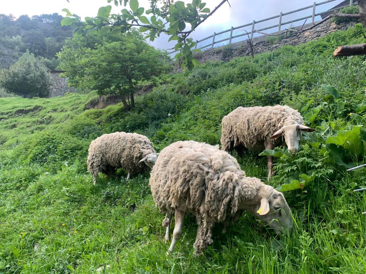 Appartamento Siscaro - Peu Del Riu 310 - Vall D'Incles - Soldeu Esterno foto